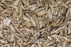 biomass boilers Woodhouselee